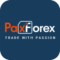 Paxforex logo