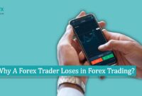 Why A Forex Trader Loses in Forex Trading