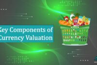 Key Components of Currency Valuation