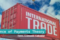 Balance of Payments Theory