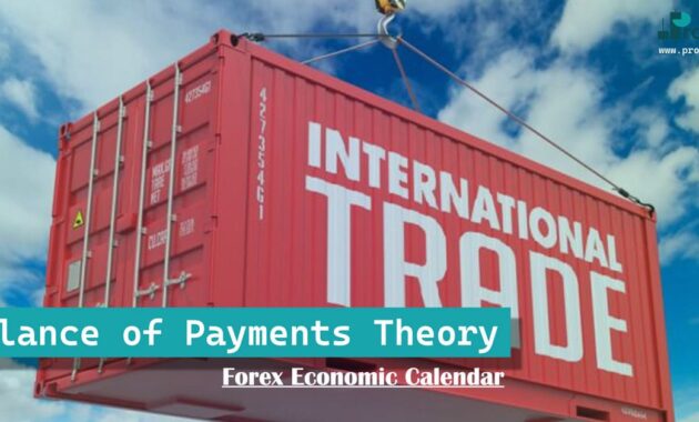 Balance of Payments Theory