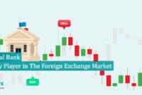 Central Bank Key Player in The Forex