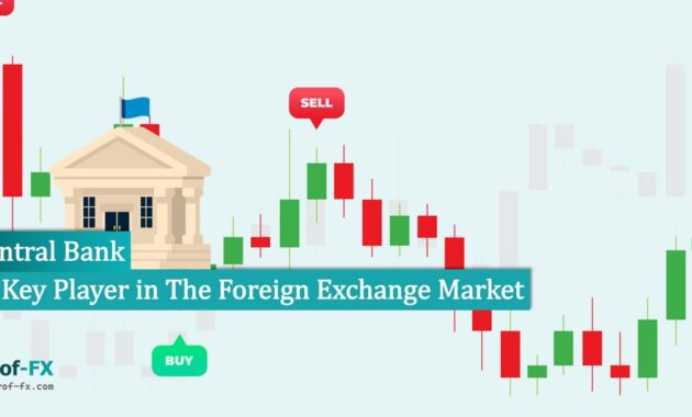 Central Bank Key Player in The Forex