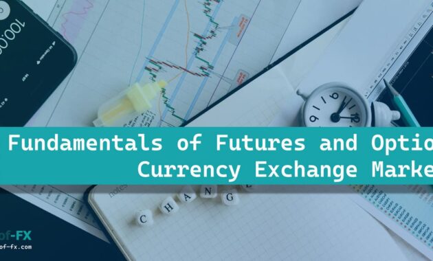 Fundamentals of Futures and Options Currency