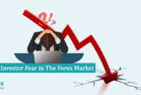 Investor Fear in The Forex Market