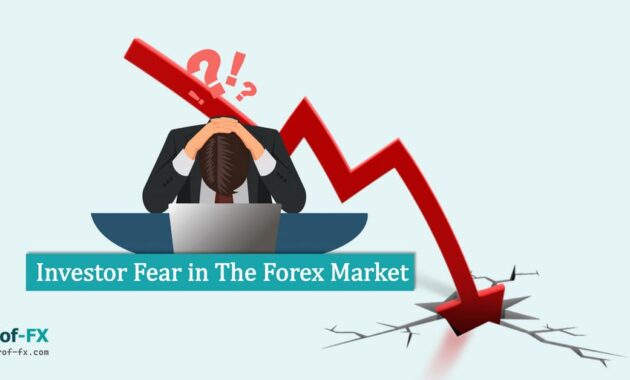 Investor Fear in The Forex Market