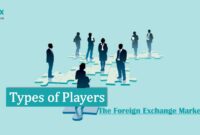 Type Player The Foreign Exchange Market