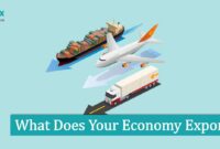 What Does Your Economy Export