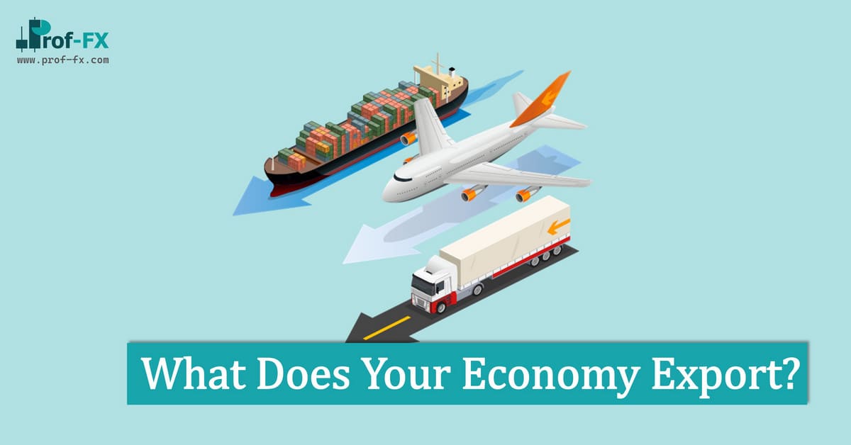 What Does Your Economy Export