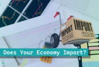 What Does Your Economy Import