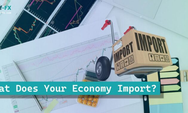 What Does Your Economy Import