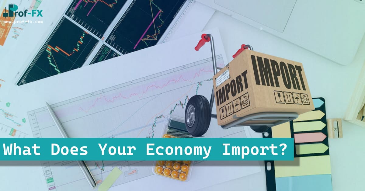 What Does Your Economy Import