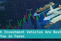 Which Investment Vehicles Are Best in Forex