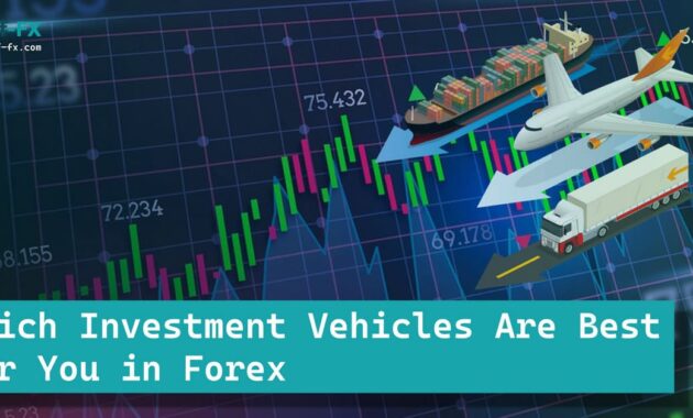 Which Investment Vehicles Are Best in Forex