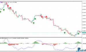 MACD True Alerts MT5