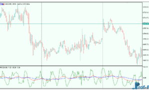 RMO Indicator mt5