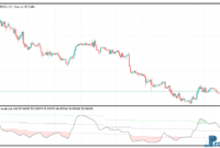 RSI Floating Levels mt5