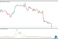 Candle Ratio mt5 indicator