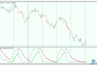 Directional RSI mt5 indicator