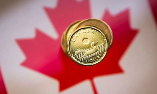 Canadian Dollar Steady Amid