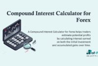 Compound Interest Calculator for Forex