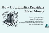 How Do Liquidity Providers Makes Money