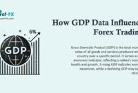 How GDP Data Influences Forex Trading